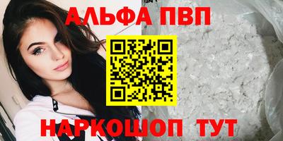 СК Будённовск