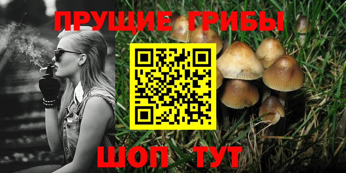 Усть-Кут  Галлюциногенные грибы MAGIC MUSHROOMS  Псилоцибиновые грибы Cubensis  Вход с VPN 