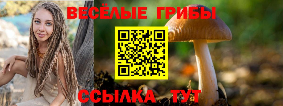 Псилоцибиновые грибы MAGIC MUSHROOMS Усть-Кут